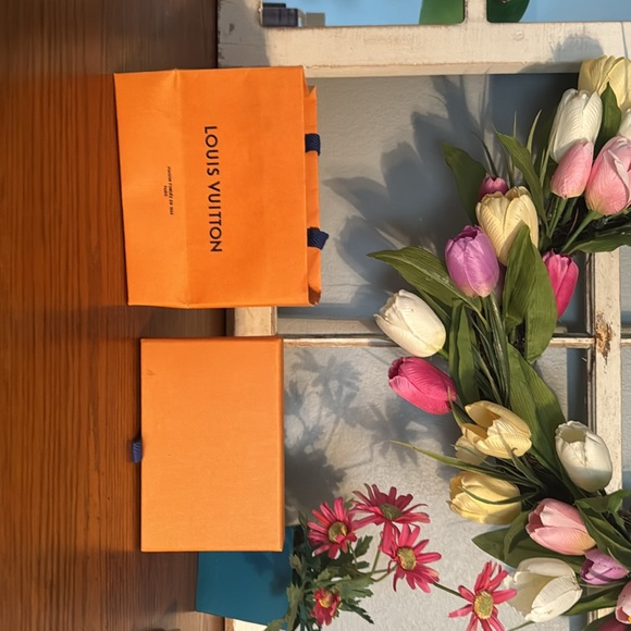 Louis Vuitton Gift Bag, Box and Dust bag - Picture 3 of 4